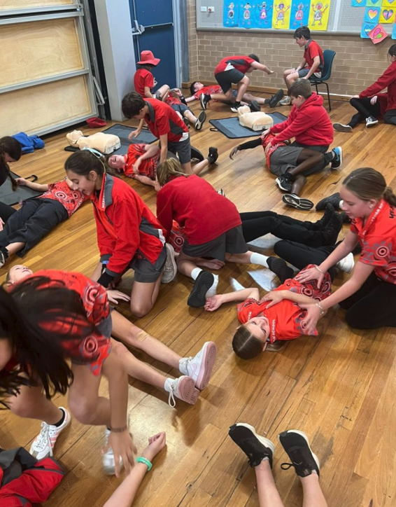 Photo of Year 6 students undertaking CPR training